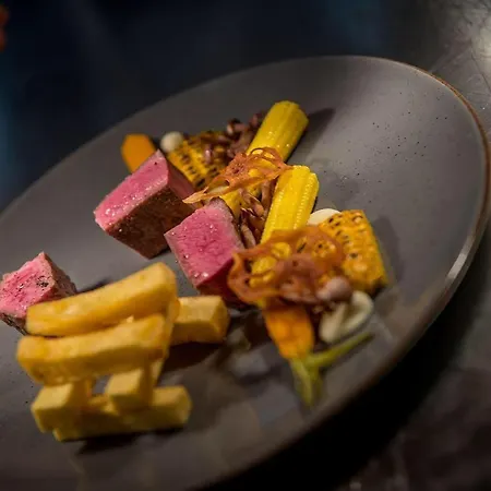 't Fnidsen 阿尔克马尔